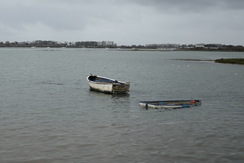 Sinking boat at Emsworth harbour by happyteg