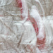 Snowy sumac ICM by darchibald