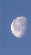 1st Jan 2024 - Moon