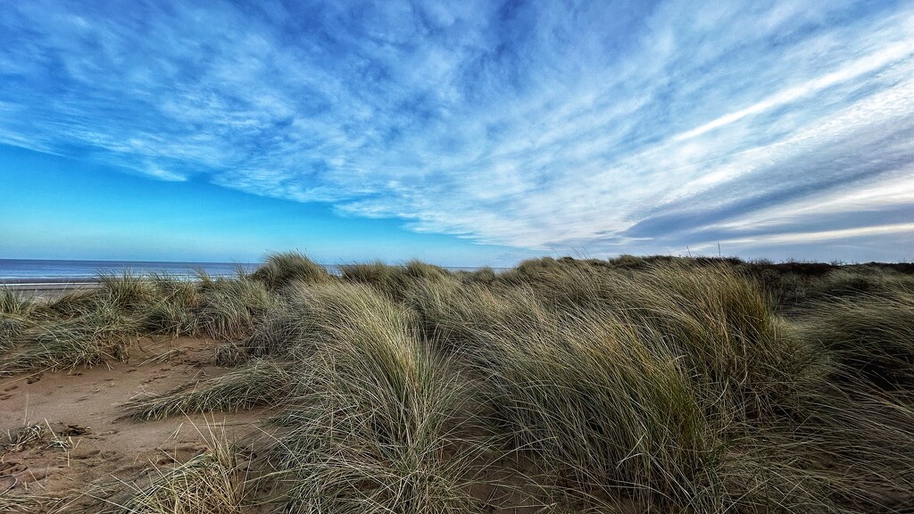 Across the Dune Grasses by carole_sandford