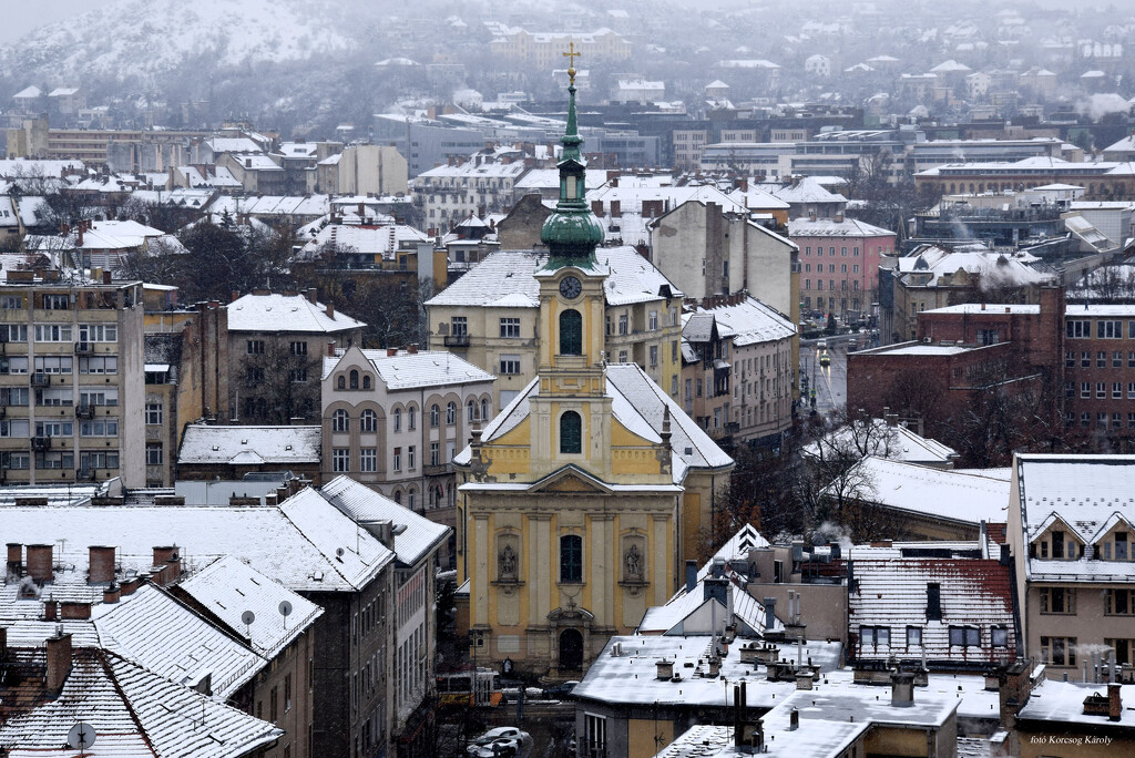 Buda roofs with snow caps by kork