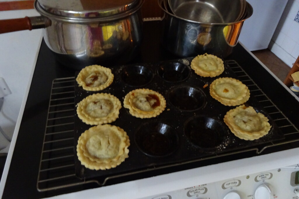gluten-free mince pies by anniesue
