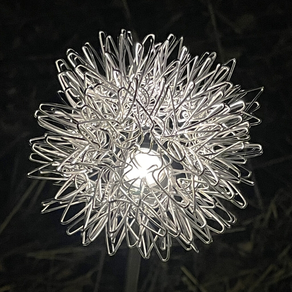 Dandelion Light by yogiw
