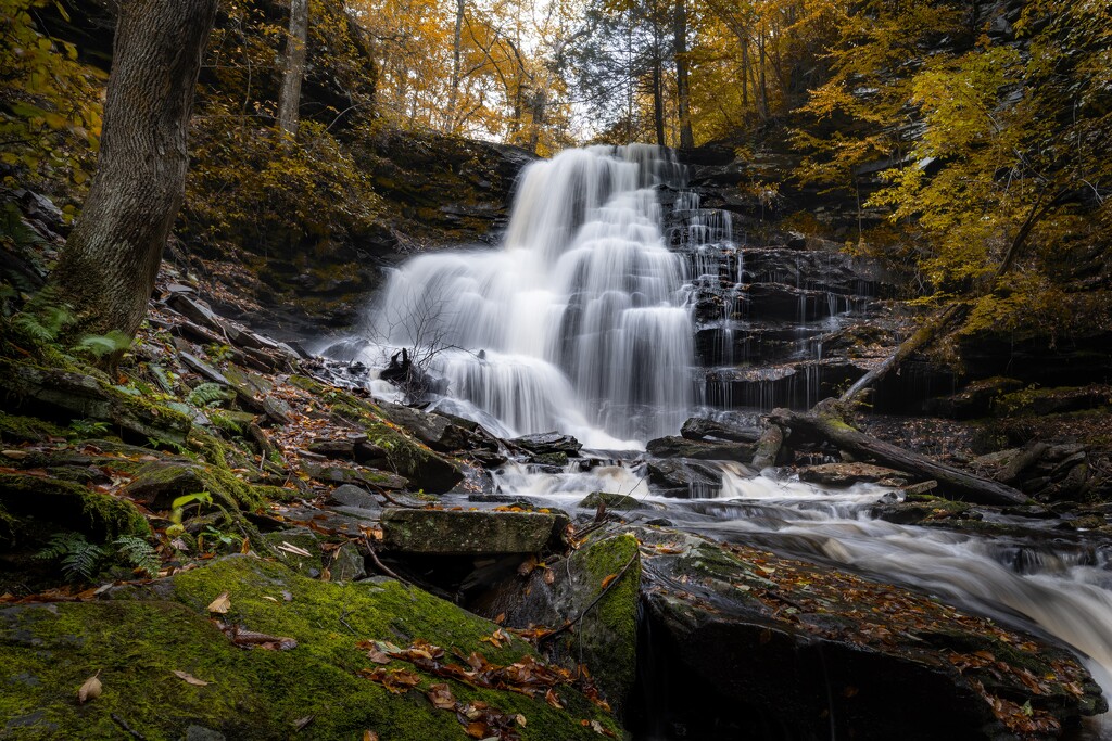 Ricketts Glen State Park by eleven24