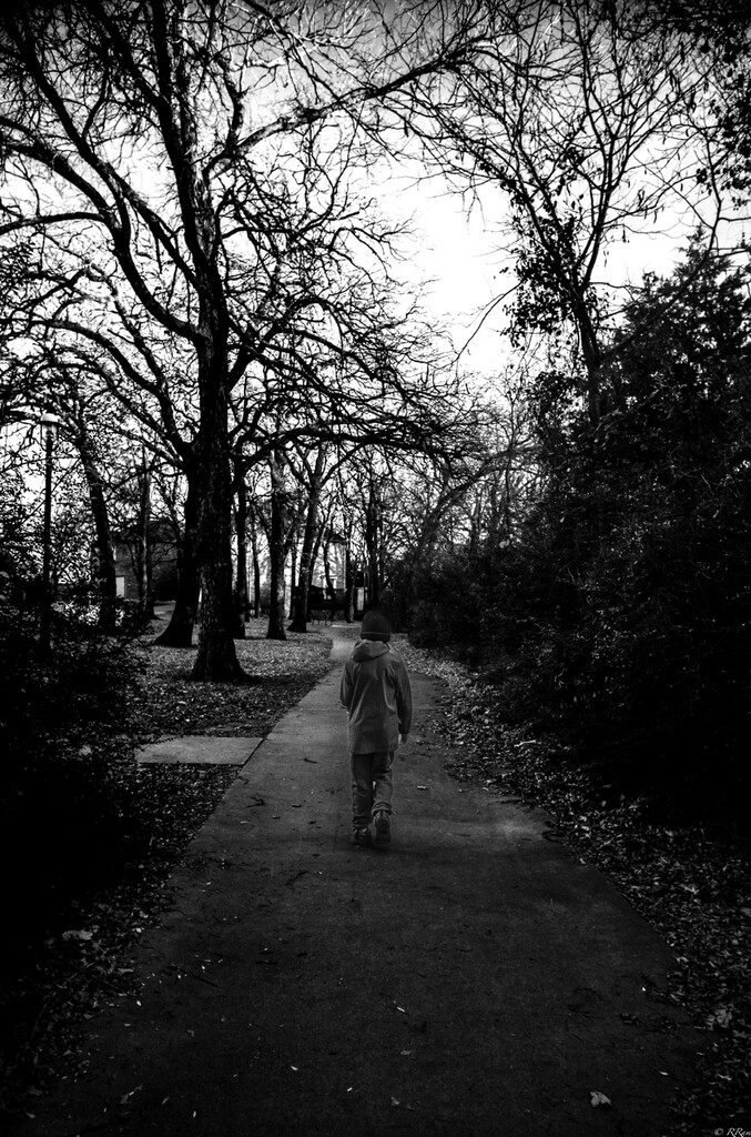 Walk thru the woods by ramr