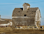 2nd Jan 2024 - Old barn