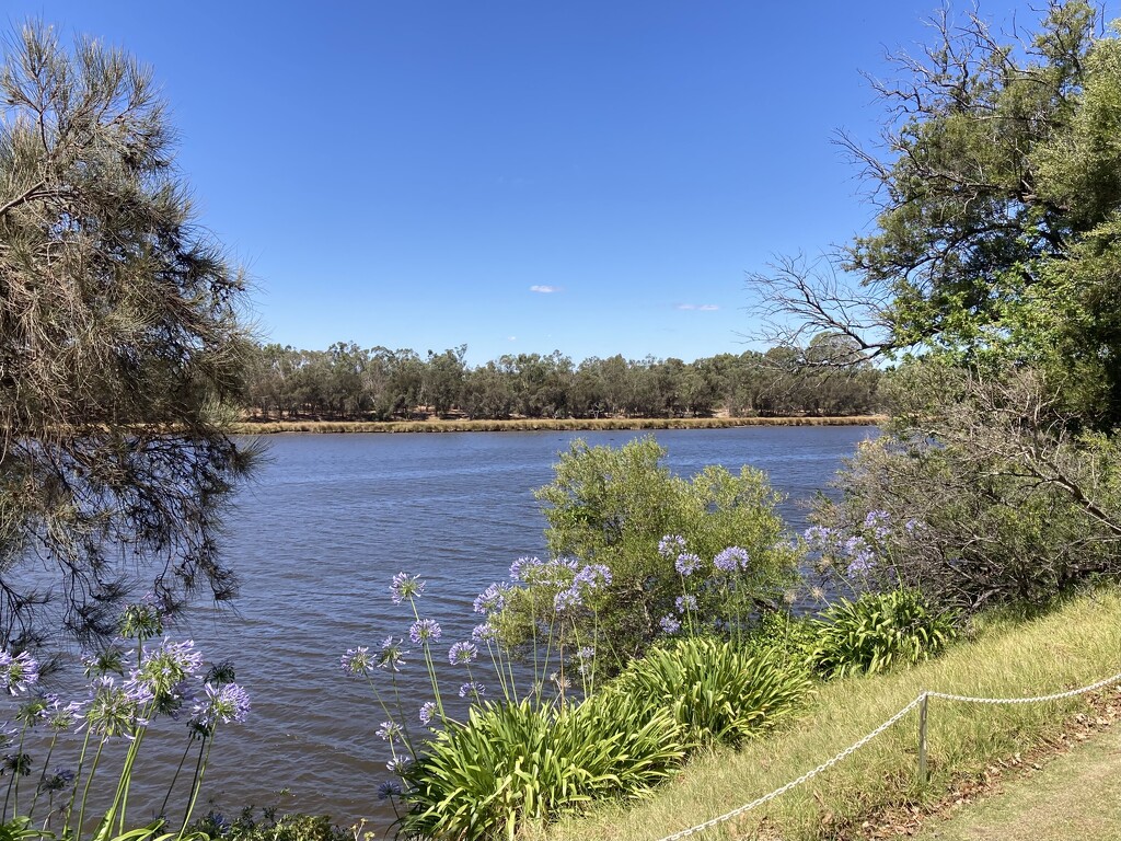 A Lovely Spot for Lunch by narayani