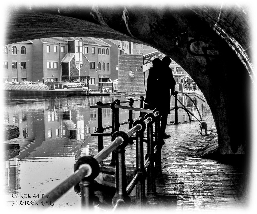 Silhouettes By The Canal by carolmw