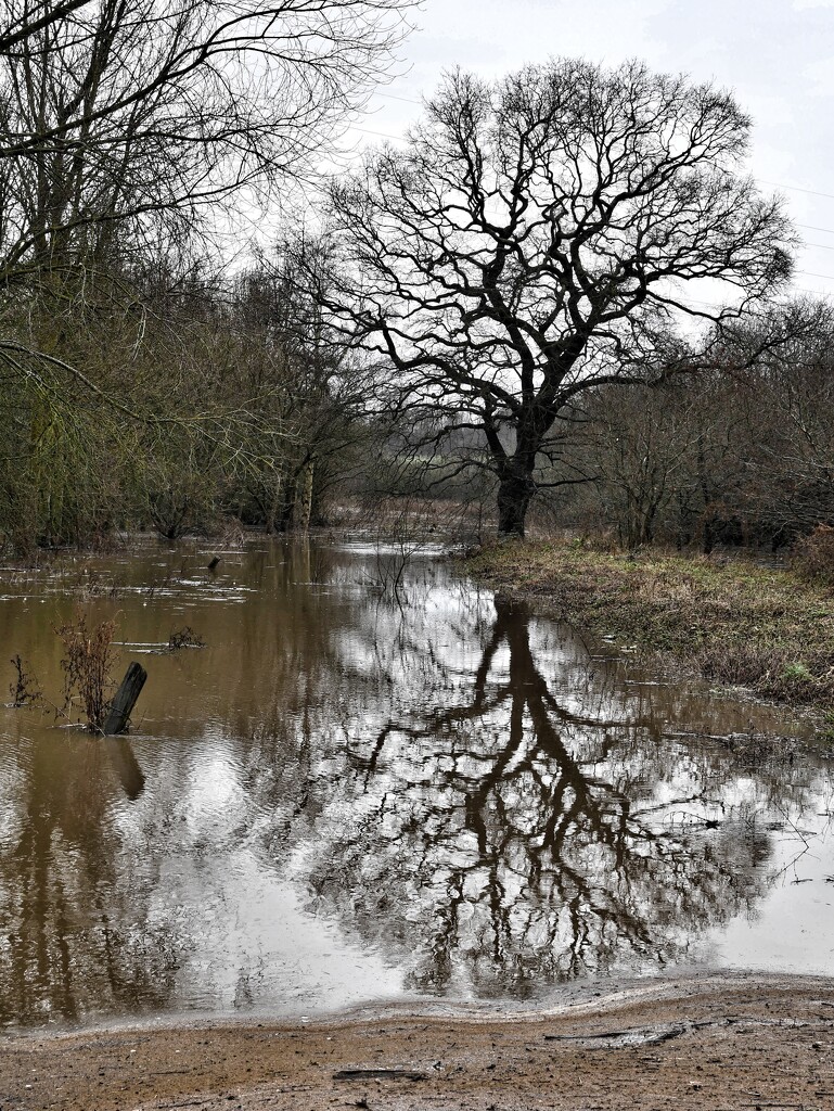 Floodwater by anncooke76