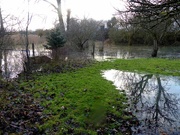 3rd Jan 2024 - Flooding in the orchard