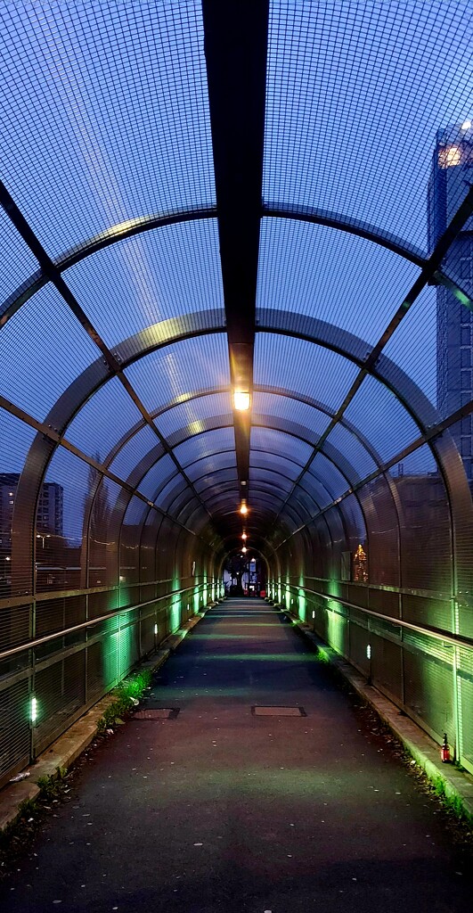 Clarendon Footbridge, Salford  by antmcg69