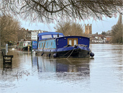 2nd Jan 2024 - Spot the towpath