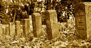3rd Jan 2024 - Military graves
