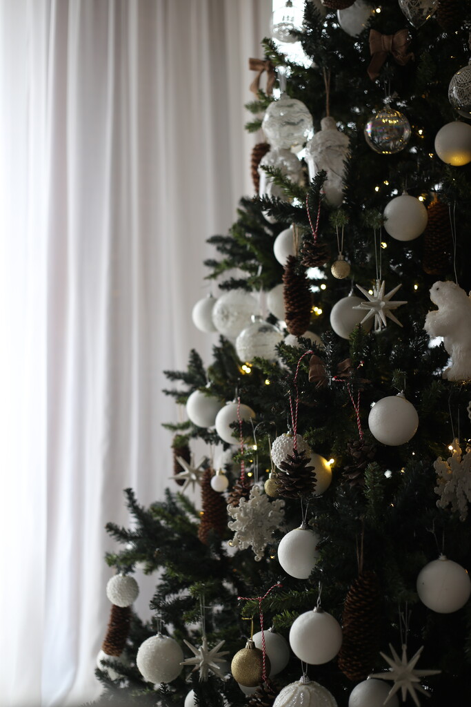 Christmas tree by olivera