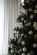 3rd Jan 2024 - Christmas tree