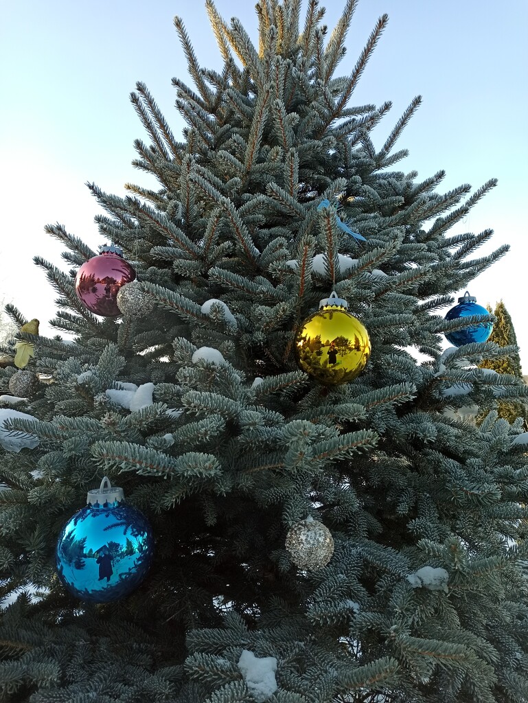 New year tree) by dhamill