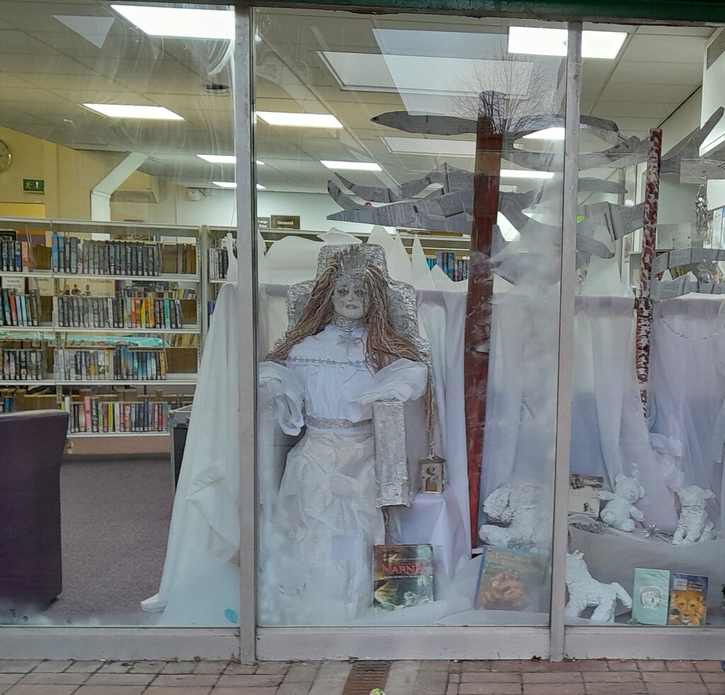 Library window display by speedwell
