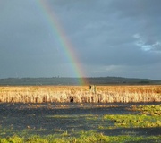 3rd Jan 2024 - No pot of gold!