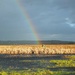 No pot of gold! by bigmxx