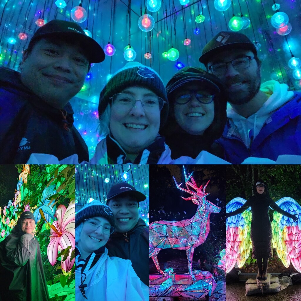 Zoo Lights! by labpotter