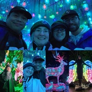 18th Dec 2023 - Zoo Lights!