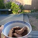 Ice cream by labpotter