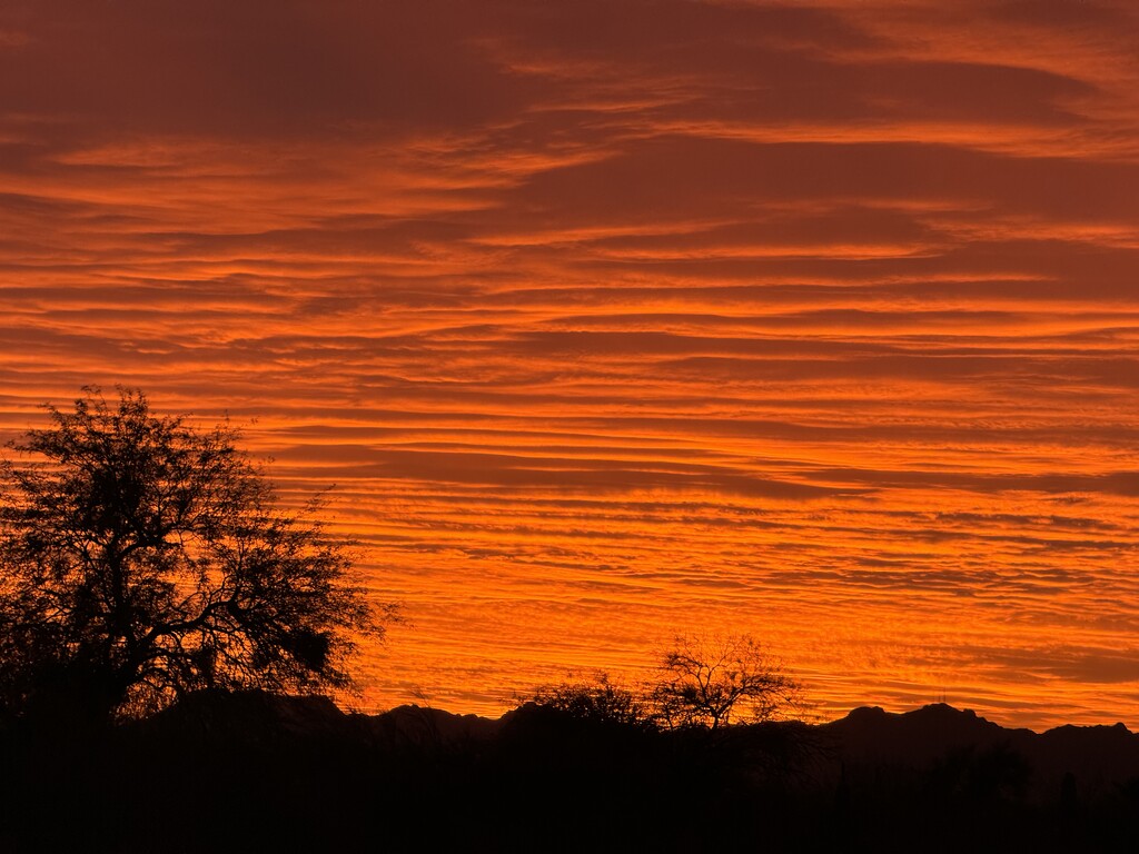 Sunset in Tucson  by hpw