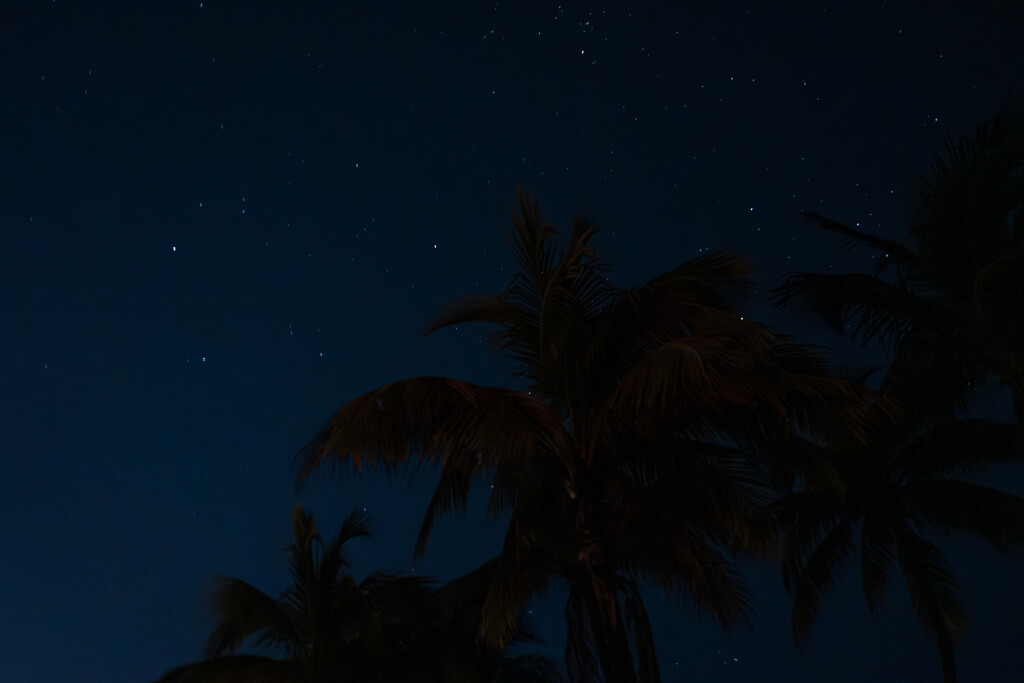 The Night Sky in Mexico by tina_mac