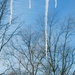 Icicles and trees by mittens