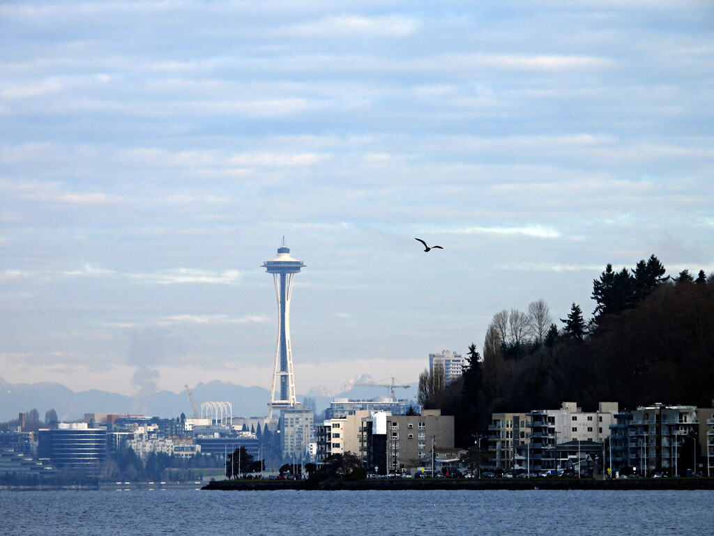 Space Needle by seattlite