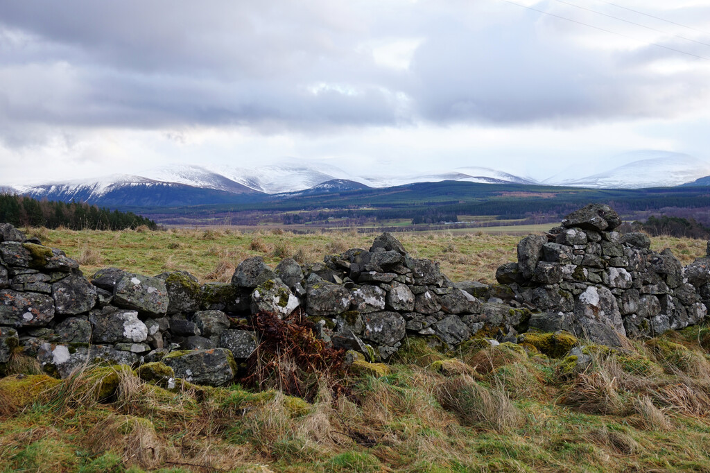 2nd Jan Across to the Feshie Hills by valpetersen