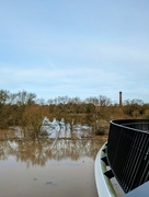 4th Jan 2024 - RIVER TEME NEAR WORCESTER - SOMEWHERE!