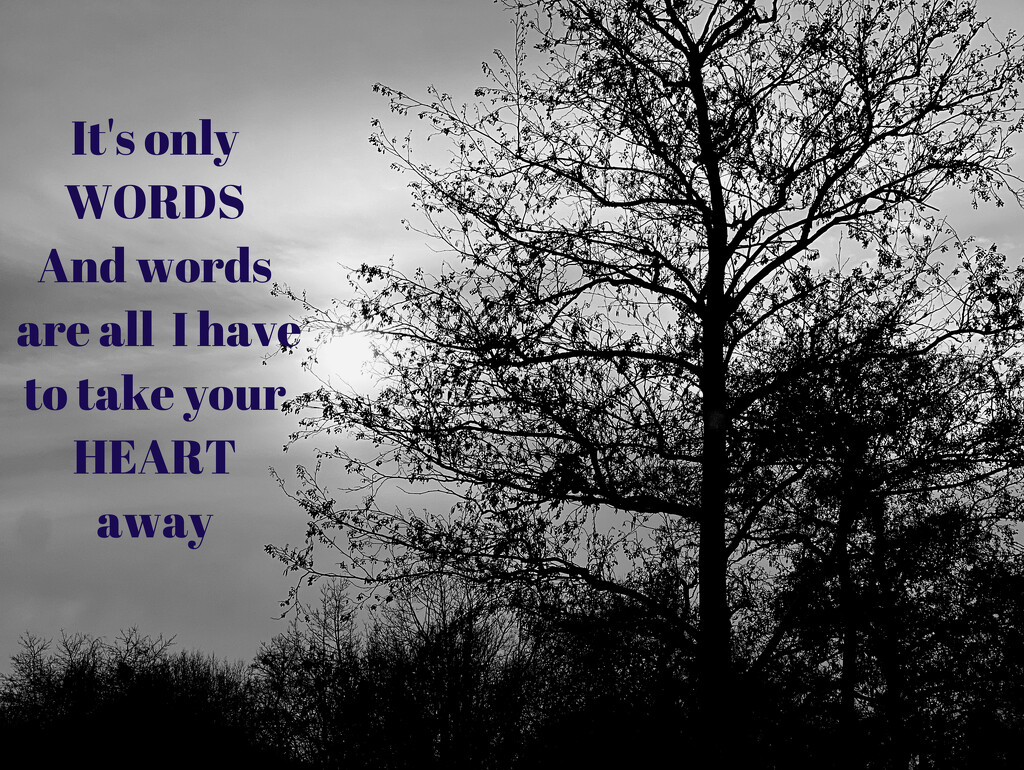 Words (4) by rensala