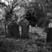 Symonds Street Cemetery by dkbarnett