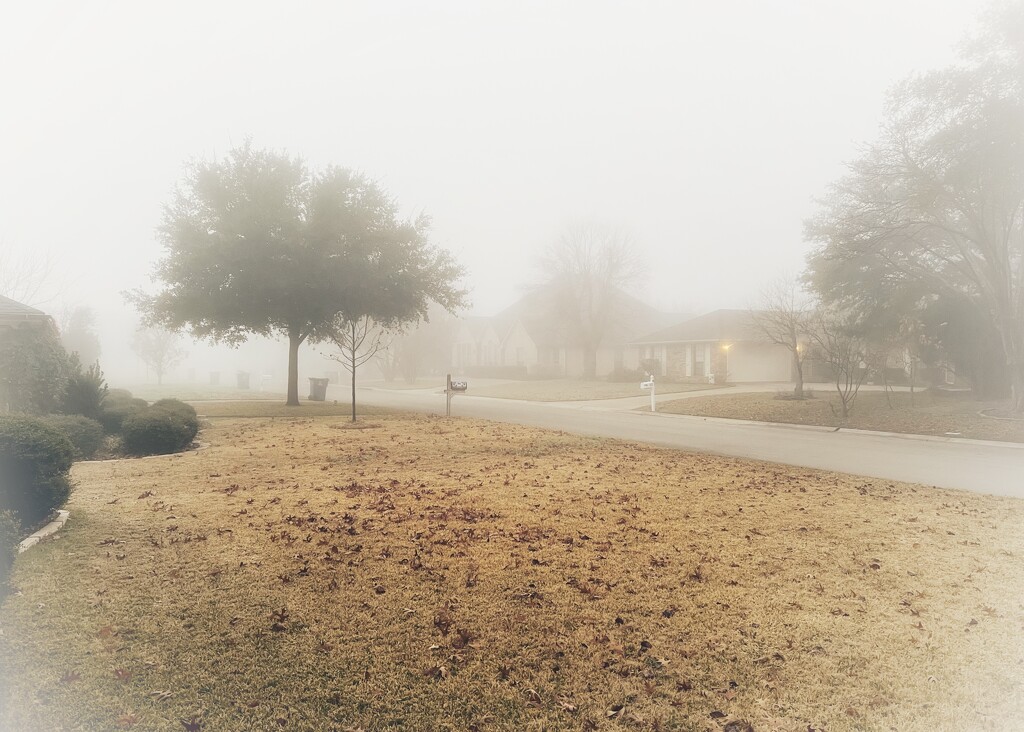 Our first fog of the year by louannwarren