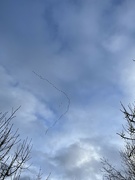 5th Jan 2024 - Geese overhead