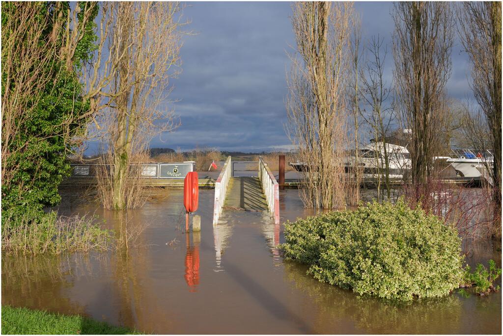 Upton upon Severn in the floods by Cliff McFarlane · 365 Project