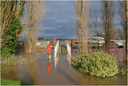 5th Jan 2024 - Upton upon Severn in the floods