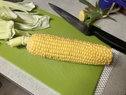 5th Jan 2024 - First Corn Cob 