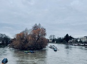 5th Jan 2024 - Another super dull day, a view from Richmond bridge