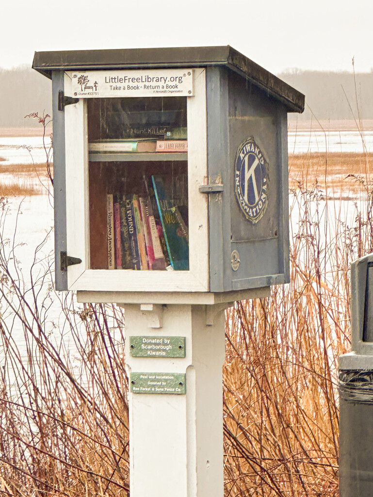 Free Library box at the Scarborough Marsh by joansmor
