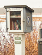 5th Jan 2024 - Free Library box at the Scarborough Marsh