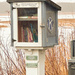 Free Library box at the Scarborough Marsh by joansmor