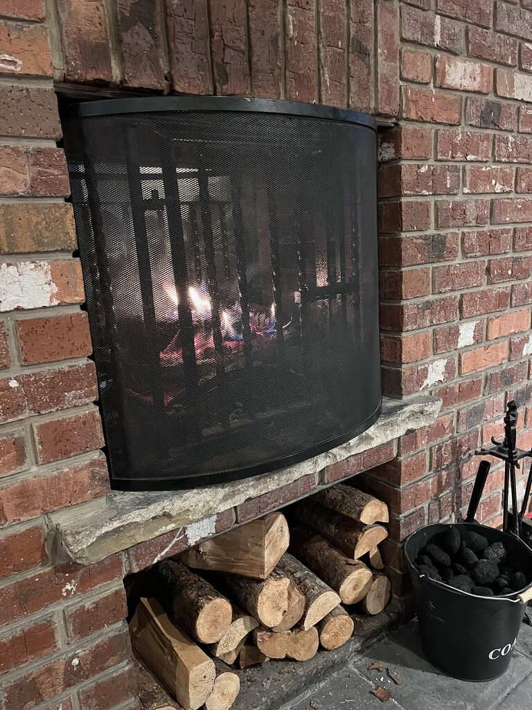 Log fire by elainea