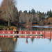 Green Lake Boat House Construction by seattlite