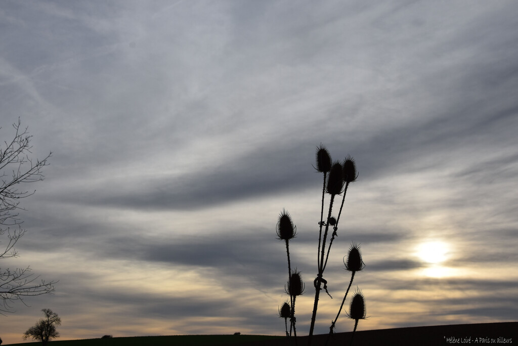 winter silouhettes by parisouailleurs