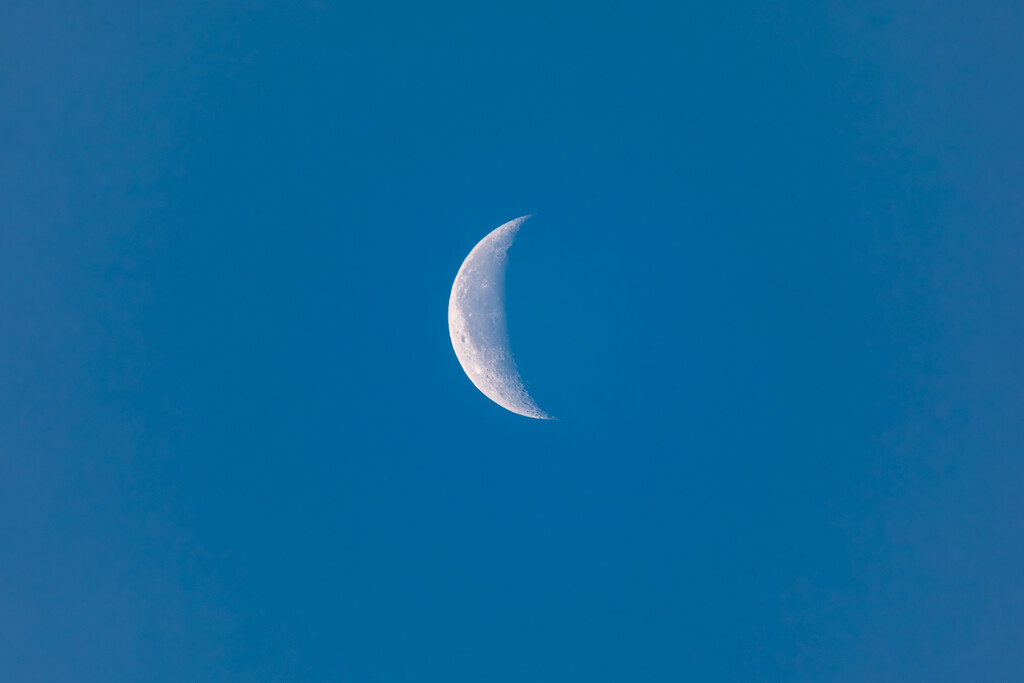 This Morning's Moon by tonus