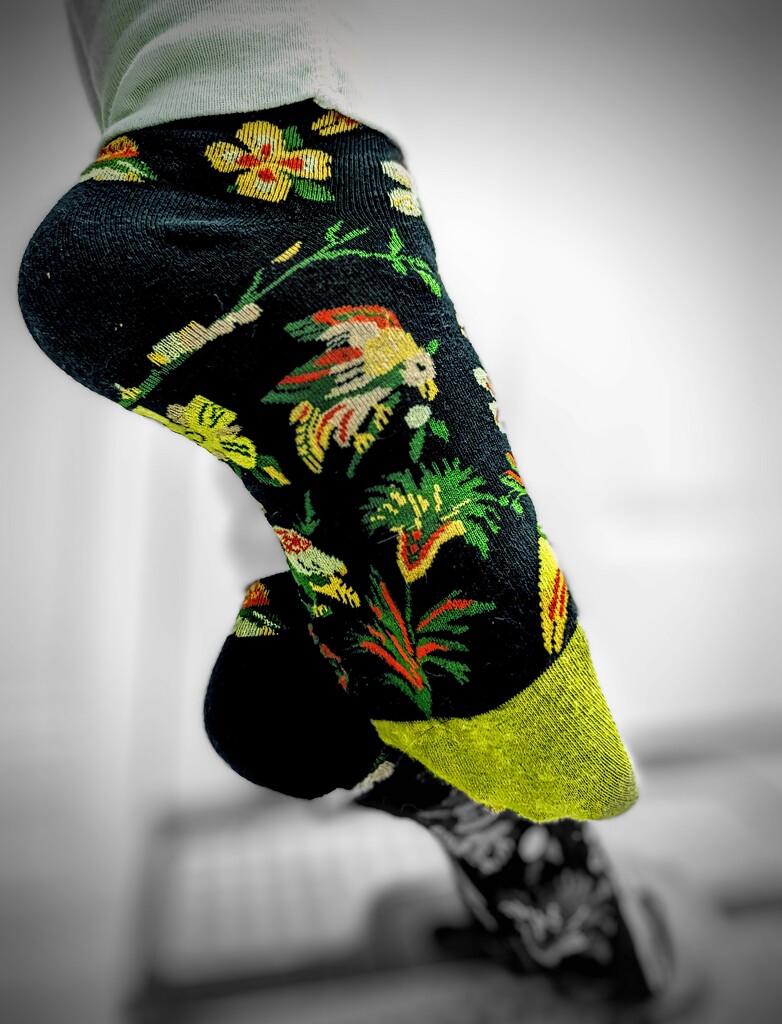 Not Darn Tough Socks  by photohoot