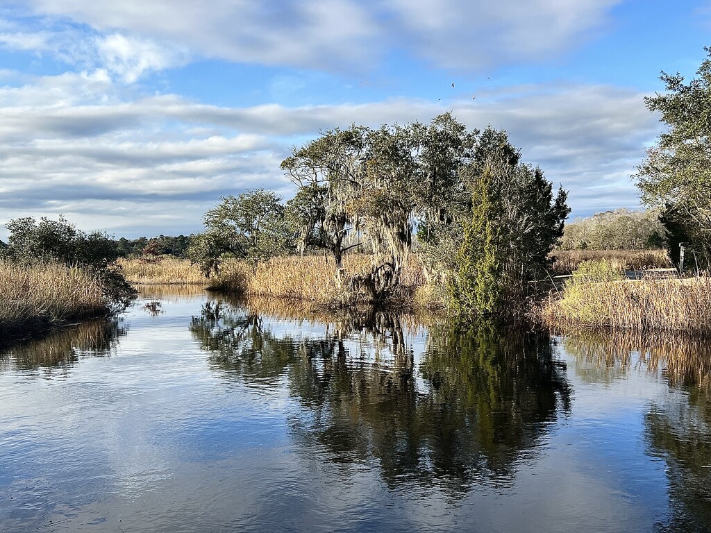 Waterfowl area at the large nature preserve out in the country yesterday on a briskly cool early January day. by congaree