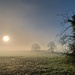 Misty morning by angelar